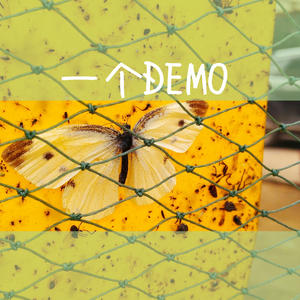 国产免费不卡视频
